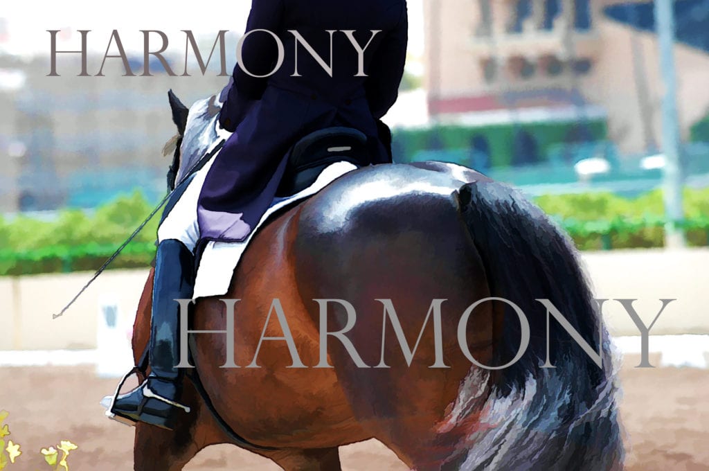 Dressage Harmony